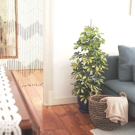 Апартаменты Castelinhos Flat. Bright And Cosy. *